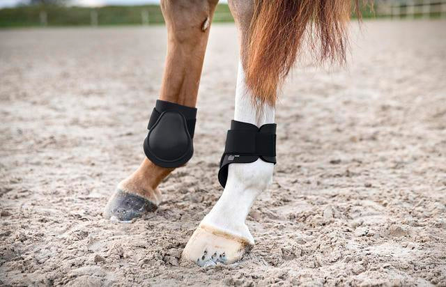 Horze deals tendon boots