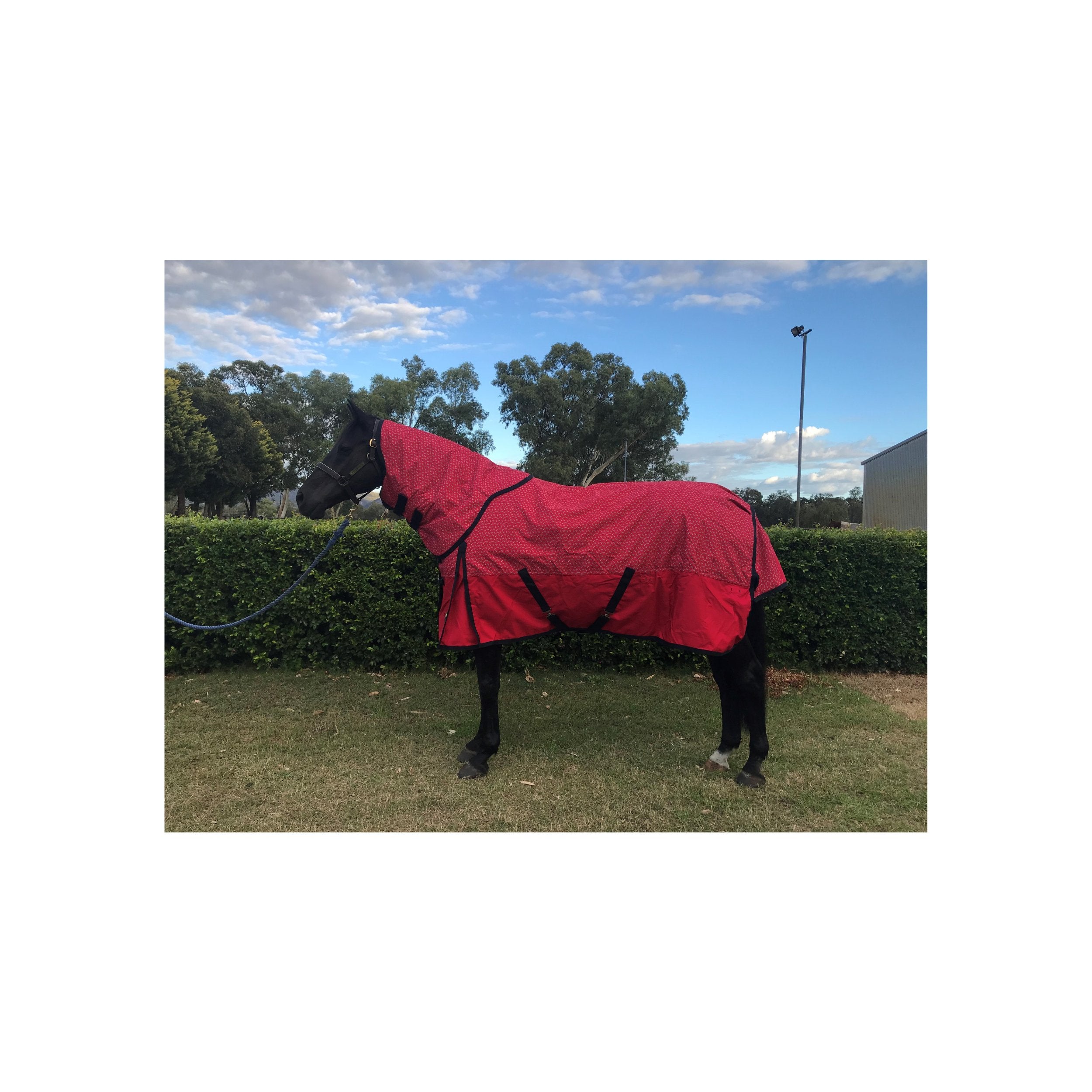 Horse Rugs – Saddles Plus AU