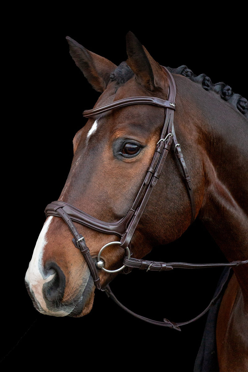 SCHOCKEMOHLE SPORTS ANCONA BRIDLE