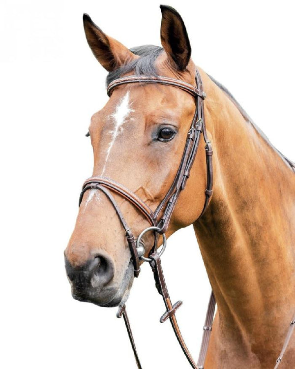 PRESTIGE E087 BRIDLE