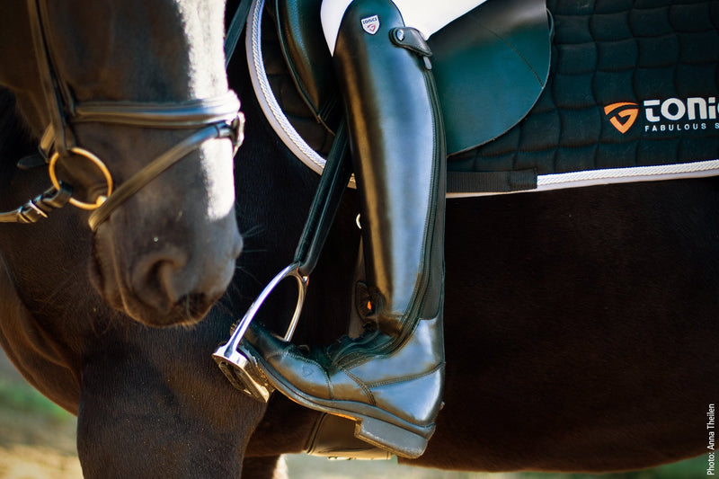 SCHOCKEMOHLE TONICS JUPITER TALL BOOT