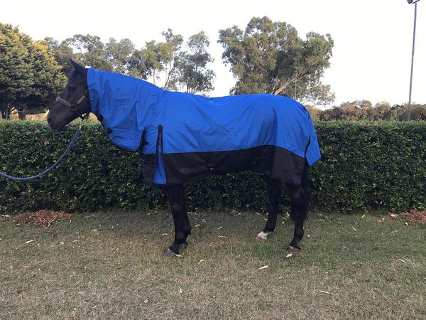 SAPPHIRE 1200D 200GM COMBO