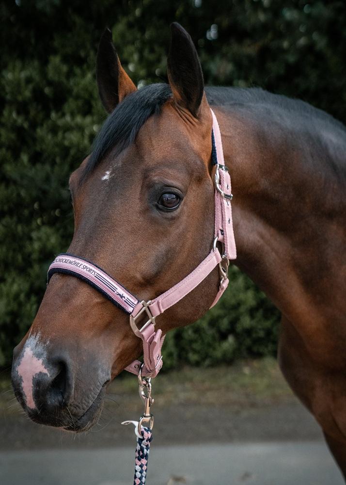 S.SPORTS MEMPHIS II HALTER DUSTY PINK