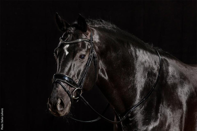 S.SPORTS STANFORD GLAM BRIDLE