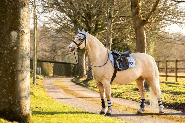 LEMIEUX LOIRE JUNIOR FLY HOOD