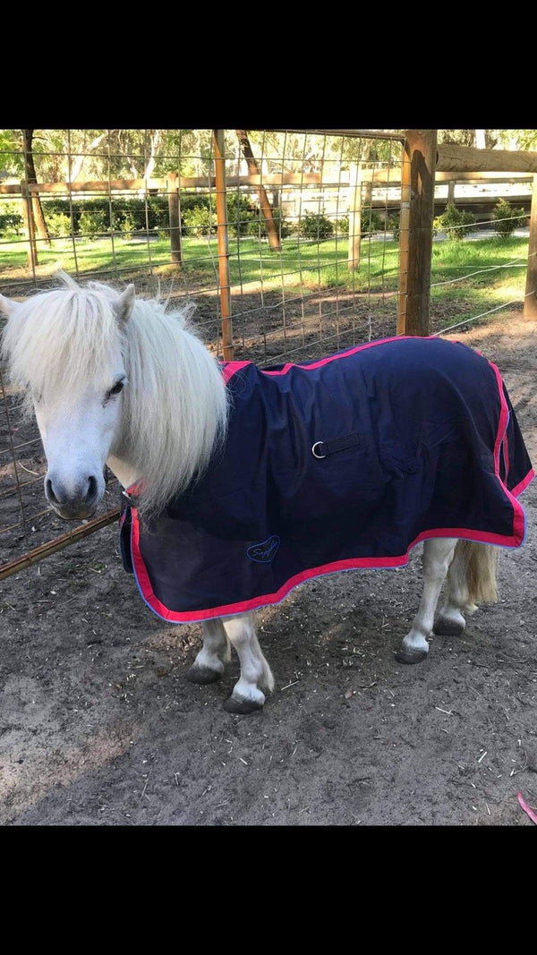 SAPPHIRE MINI COTTON RUG RED/BLUE