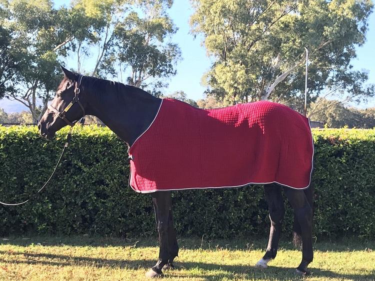CHILLOUT THERMAL WICKING RUG – Saddles Plus AU